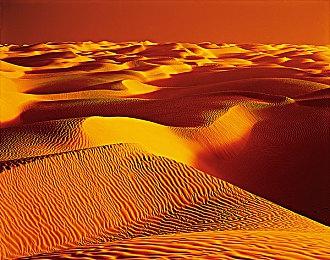 《龙珠Z：卡卡罗特》DLC巴达克独面命运上市预告