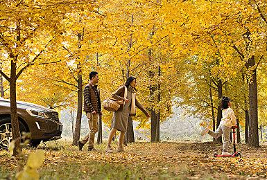 《乐高堡垒之夜》将推出休闲模式和专家模式 预计6月13日发布